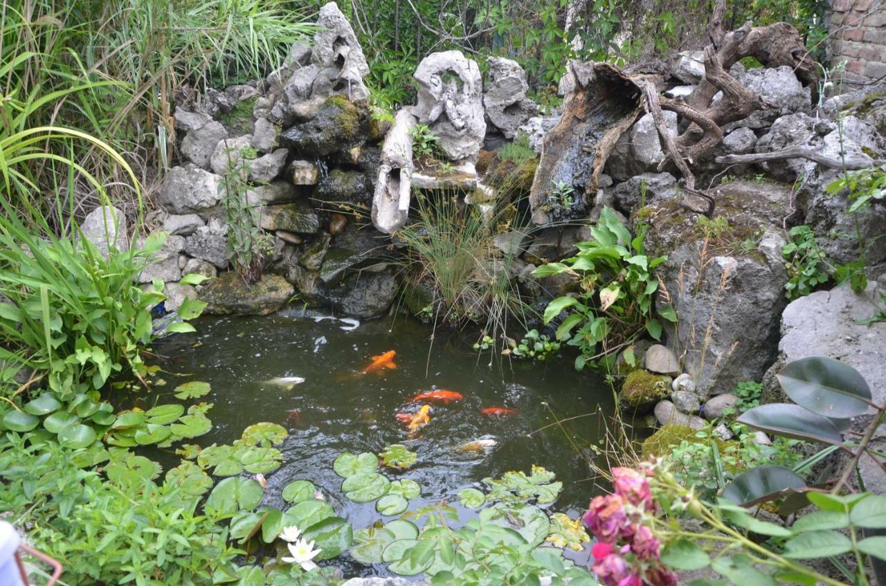 Guest House Amazonia Varna Ngoại thất bức ảnh